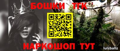 гидра Лесосибирск