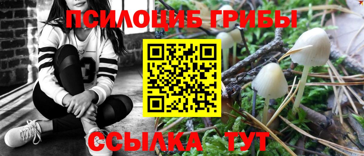 Туймазы  Псилоцибиновые грибы MAGIC MUSHROOMS  Вход с VPN 