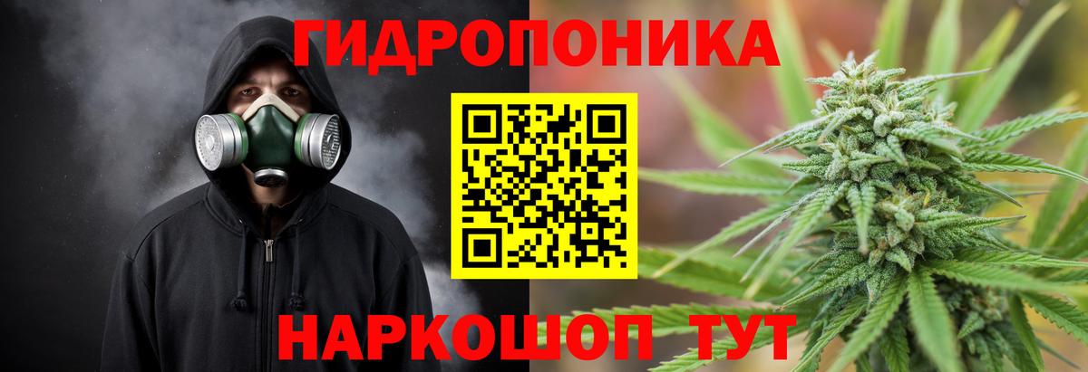 Бошки Шишки SATIVA & INDICA  Марихуана планчик  Бошки Шишки SATIVA & INDICA  Туймазы  Конопля индика  Вход с VPN 